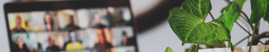 Videoconference
