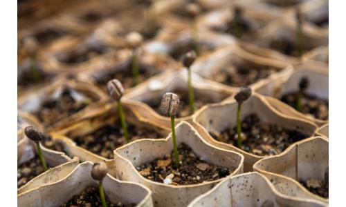 Formation de base PCM