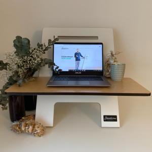 Webinars